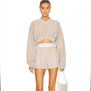 NWOT Alexander Wang Wool Pleated Short w/ Logo Waistline 6